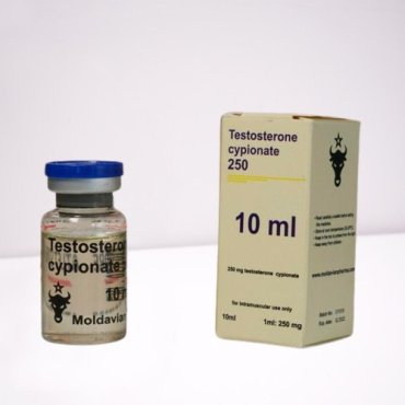 Testosterone cypionate 250 mg Moldavian Pharma
